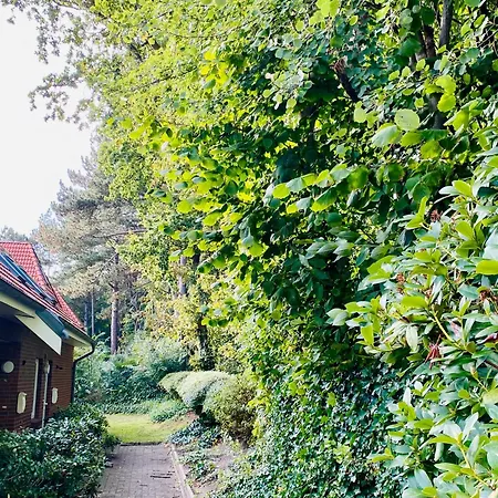 Apartment 3 Im Haus Padua Cuxhaven